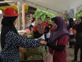 Tn DSC 7791